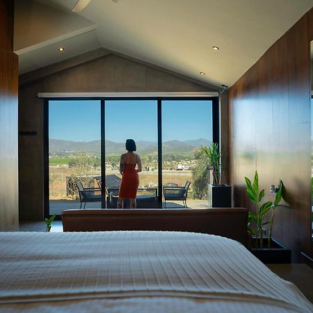 Bajo Estrellas Hotel Contemporaneo Valle de Guadalupe Εξωτερικό φωτογραφία