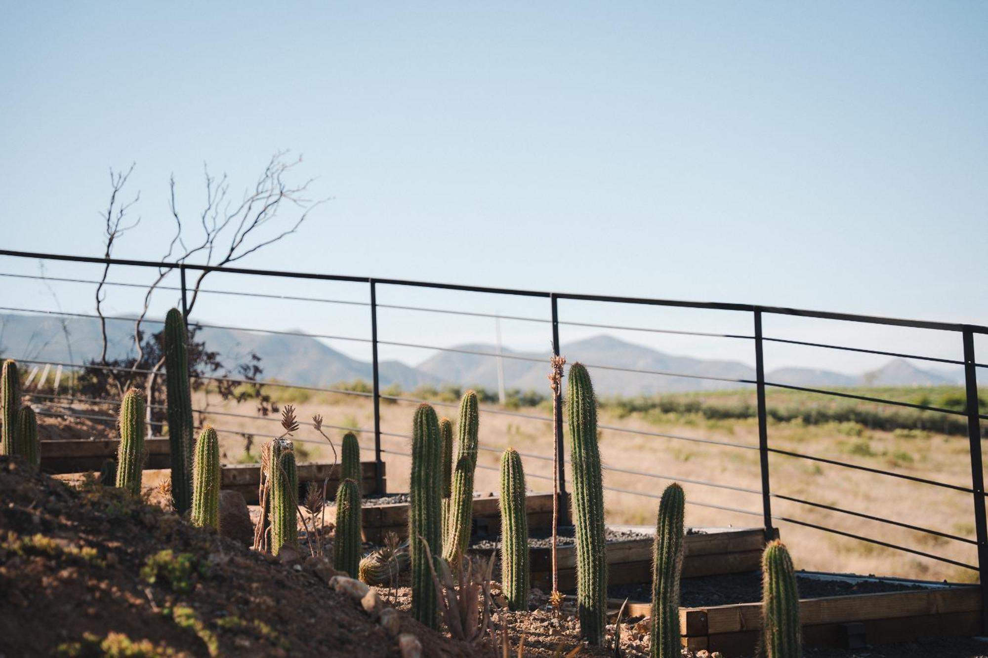 Bajo Estrellas Hotel Contemporaneo Valle de Guadalupe Εξωτερικό φωτογραφία